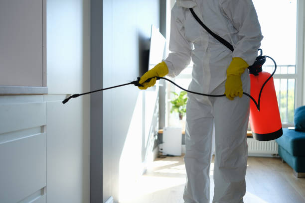 Best Post-Flood Mold Remediation in Bristol, IN